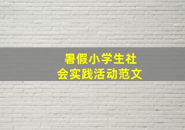 暑假小学生社会实践活动范文