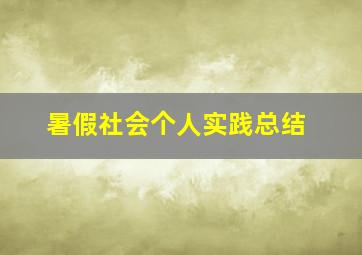 暑假社会个人实践总结