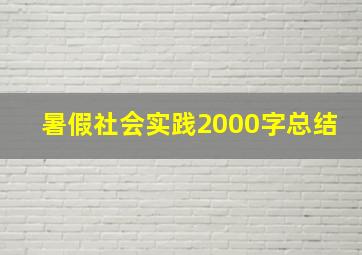 暑假社会实践2000字总结