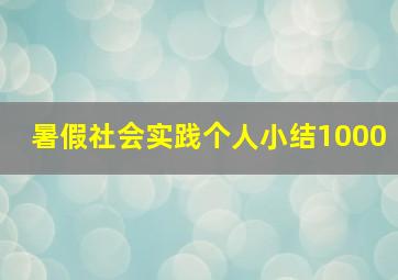 暑假社会实践个人小结1000