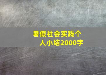 暑假社会实践个人小结2000字