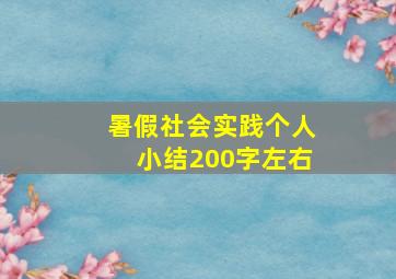 暑假社会实践个人小结200字左右