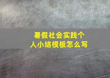 暑假社会实践个人小结模板怎么写