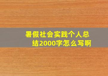 暑假社会实践个人总结2000字怎么写啊