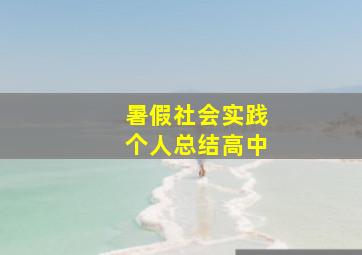 暑假社会实践个人总结高中