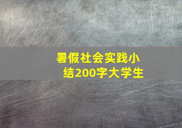 暑假社会实践小结200字大学生