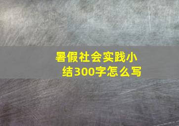 暑假社会实践小结300字怎么写