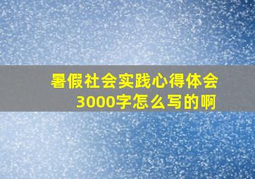 暑假社会实践心得体会3000字怎么写的啊