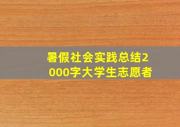 暑假社会实践总结2000字大学生志愿者