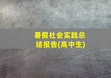 暑假社会实践总结报告(高中生)