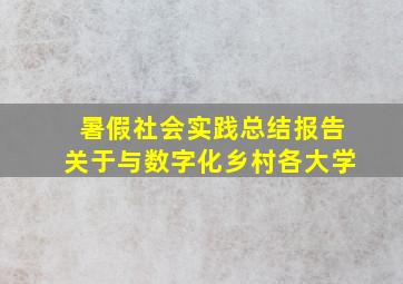 暑假社会实践总结报告关于与数字化乡村各大学