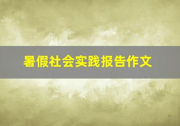 暑假社会实践报告作文