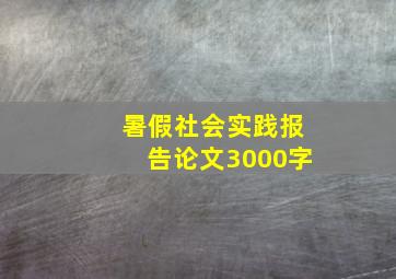 暑假社会实践报告论文3000字