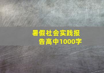 暑假社会实践报告高中1000字