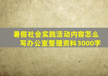 暑假社会实践活动内容怎么写办公室整理资料3000字