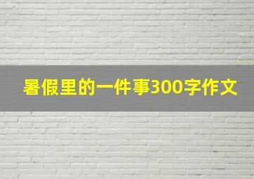 暑假里的一件事300字作文