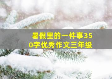 暑假里的一件事350字优秀作文三年级