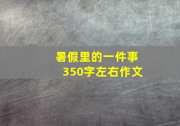 暑假里的一件事350字左右作文