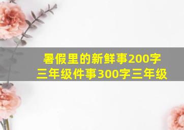 暑假里的新鲜事200字三年级件事300字三年级