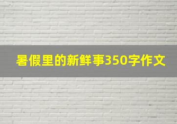 暑假里的新鲜事350字作文