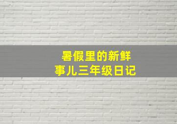 暑假里的新鲜事儿三年级日记