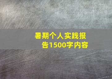 暑期个人实践报告1500字内容