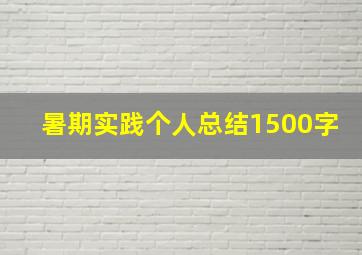 暑期实践个人总结1500字