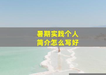 暑期实践个人简介怎么写好