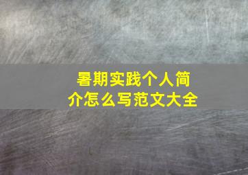 暑期实践个人简介怎么写范文大全