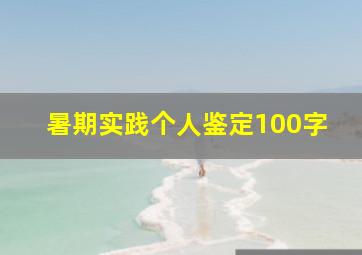 暑期实践个人鉴定100字