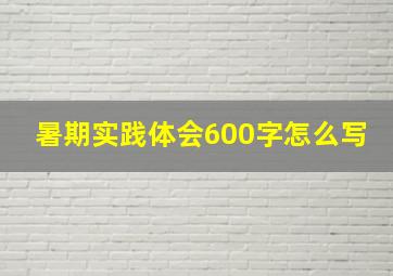 暑期实践体会600字怎么写