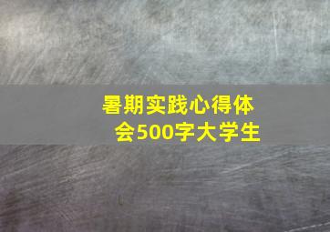 暑期实践心得体会500字大学生