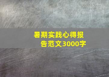 暑期实践心得报告范文3000字