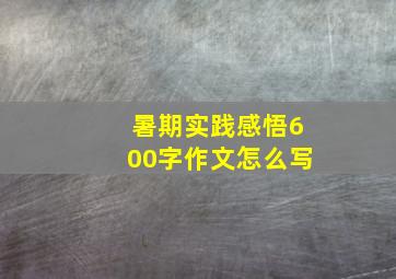 暑期实践感悟600字作文怎么写