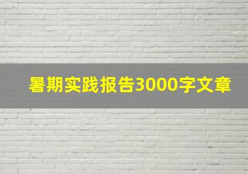 暑期实践报告3000字文章