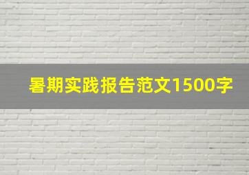 暑期实践报告范文1500字