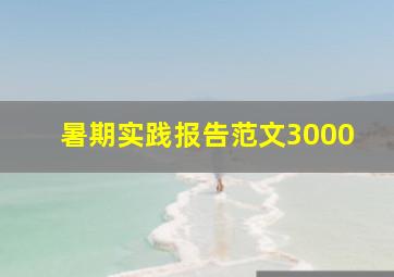 暑期实践报告范文3000