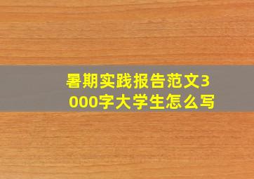 暑期实践报告范文3000字大学生怎么写