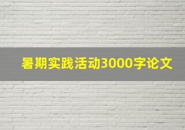 暑期实践活动3000字论文