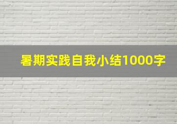 暑期实践自我小结1000字