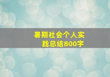 暑期社会个人实践总结800字