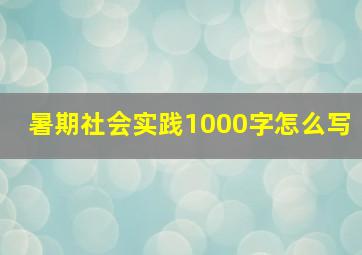 暑期社会实践1000字怎么写