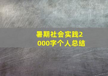 暑期社会实践2000字个人总结