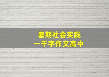 暑期社会实践一千字作文高中