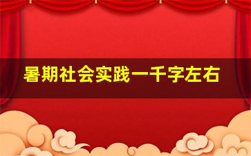 暑期社会实践一千字左右