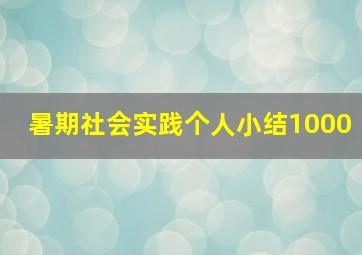 暑期社会实践个人小结1000