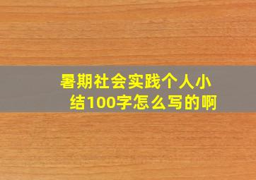 暑期社会实践个人小结100字怎么写的啊