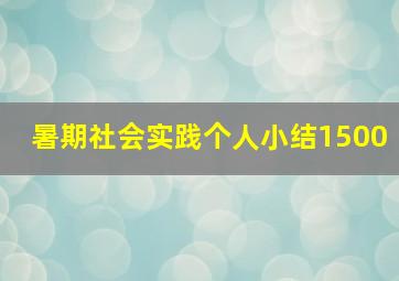 暑期社会实践个人小结1500