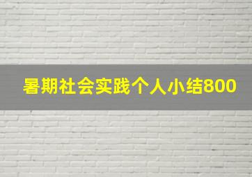 暑期社会实践个人小结800