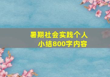 暑期社会实践个人小结800字内容